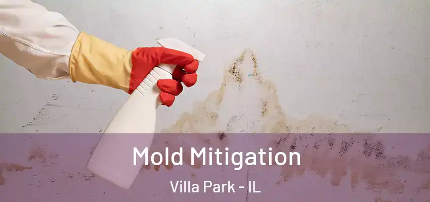 Mold Mitigation Villa Park - IL