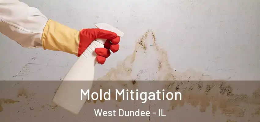 Mold Mitigation West Dundee - IL