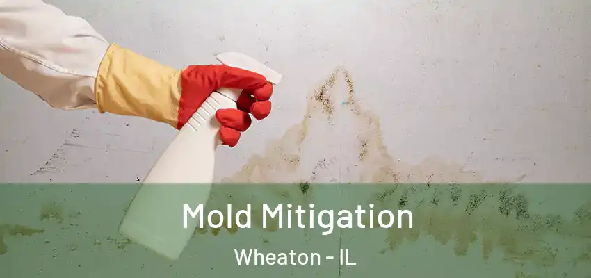  Mold Mitigation Wheaton - IL