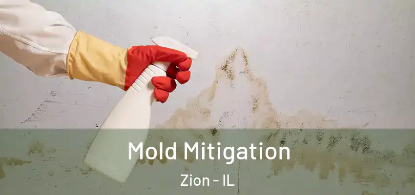  Mold Mitigation Zion - IL