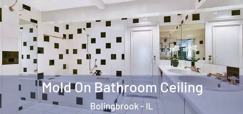Mold On Bathroom Ceiling Bolingbrook - IL