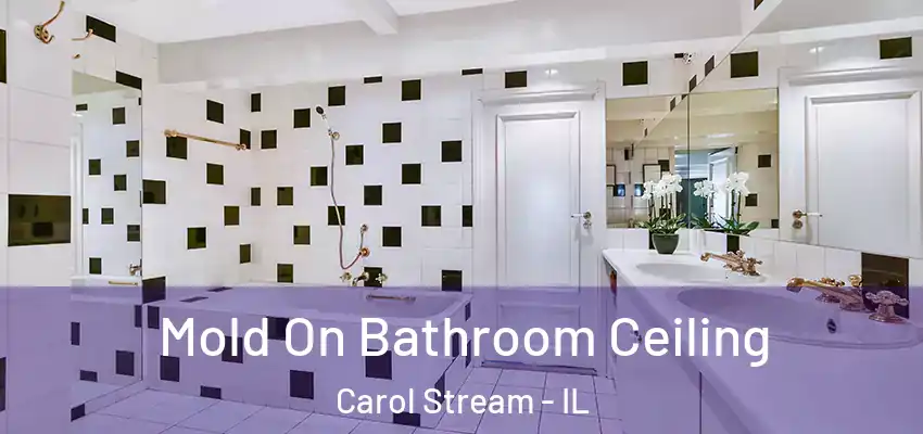 Mold On Bathroom Ceiling Carol Stream - IL