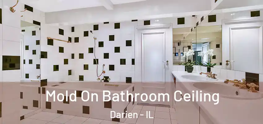  Mold On Bathroom Ceiling Darien - IL