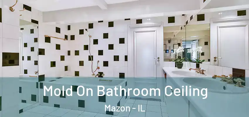 Mold On Bathroom Ceiling Mazon - IL