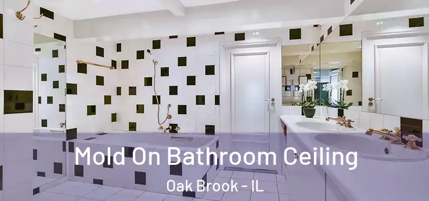 Mold On Bathroom Ceiling Oak Brook - IL