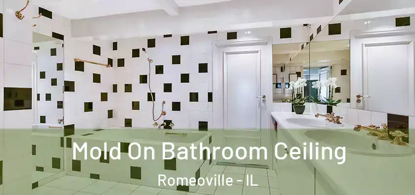  Mold On Bathroom Ceiling Romeoville - IL