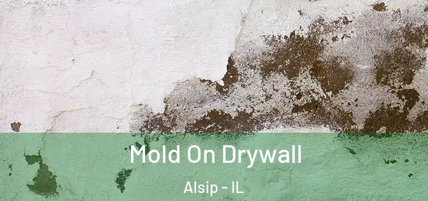 Mold On Drywall Alsip - IL