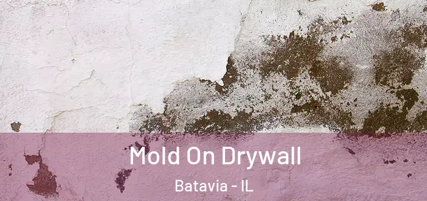 Mold On Drywall Batavia - IL