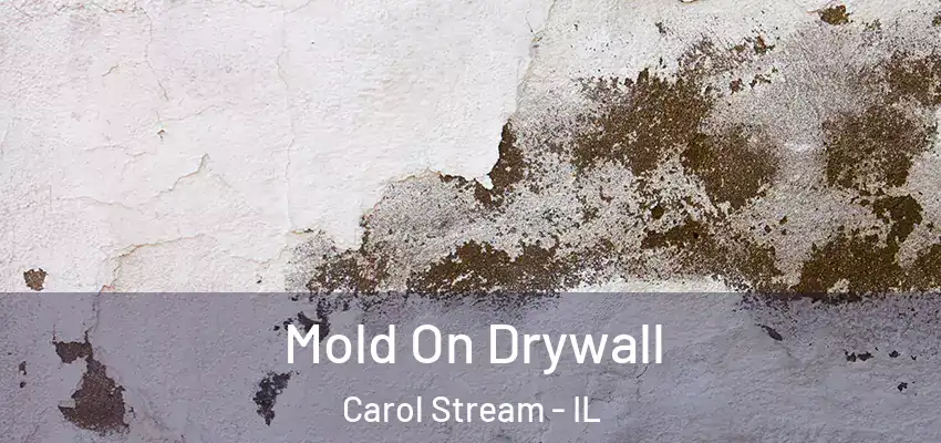 Mold On Drywall Carol Stream - IL