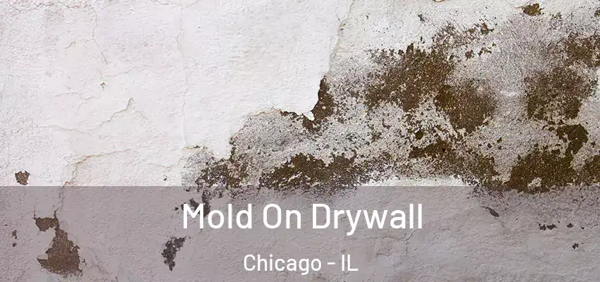 Mold On Drywall Chicago - IL