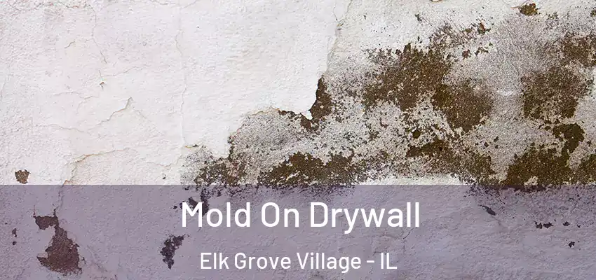 Mold On Drywall Elk Grove Village - IL