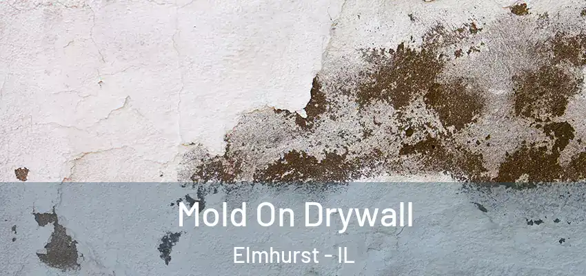  Mold On Drywall Elmhurst - IL