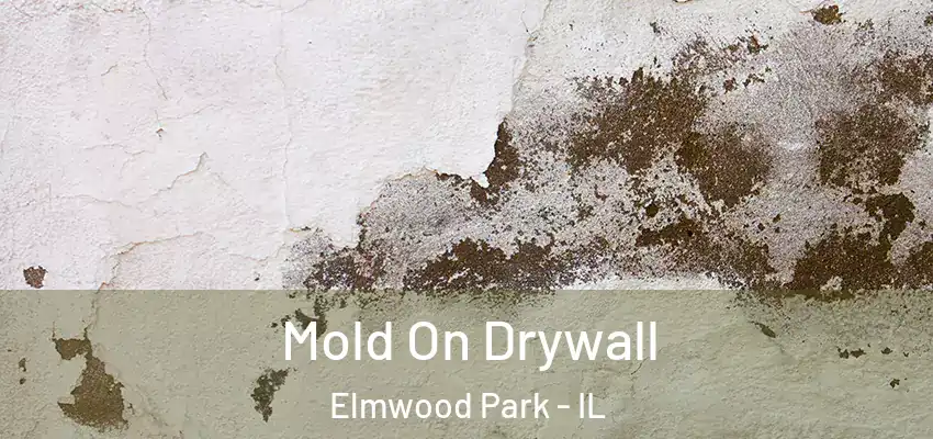  Mold On Drywall Elmwood Park - IL