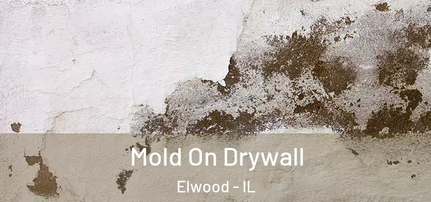  Mold On Drywall Elwood - IL