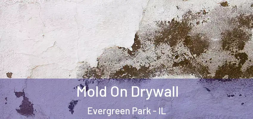 Mold On Drywall Evergreen Park - IL