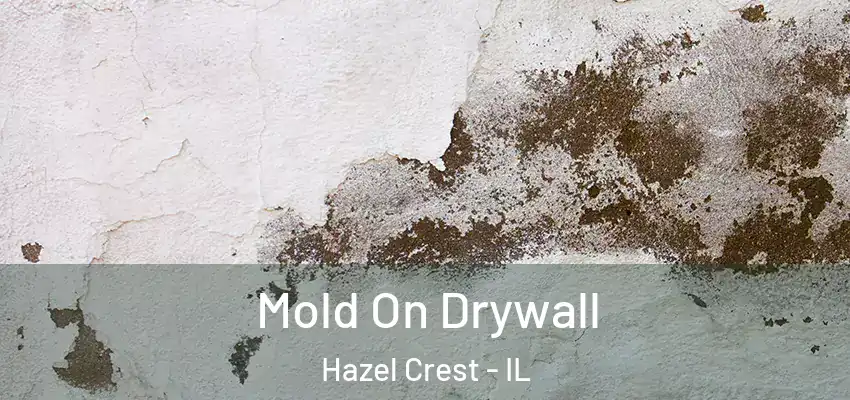 Mold On Drywall Hazel Crest - IL