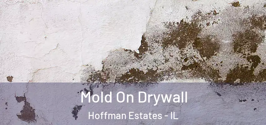  Mold On Drywall Hoffman Estates - IL