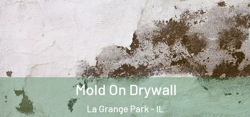Mold On Drywall La Grange Park - IL