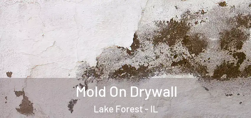 Mold On Drywall Lake Forest - IL