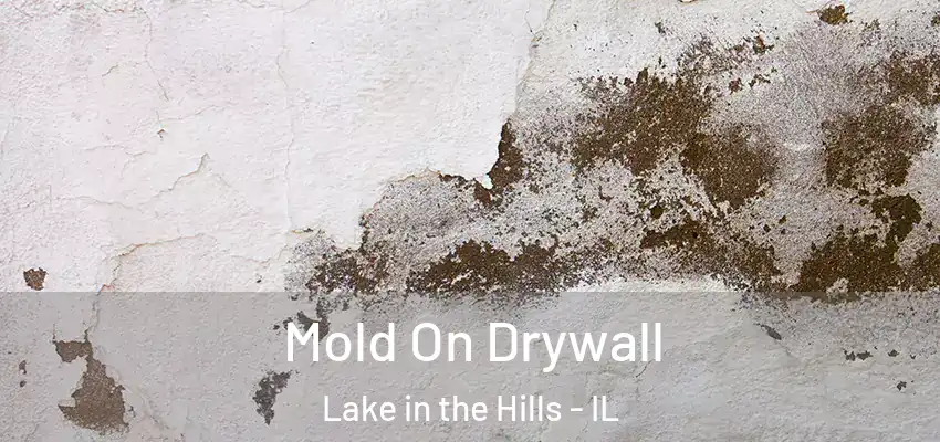 Mold On Drywall Lake in the Hills - IL