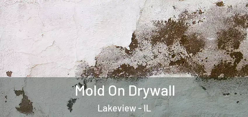 Mold On Drywall Lakeview - IL