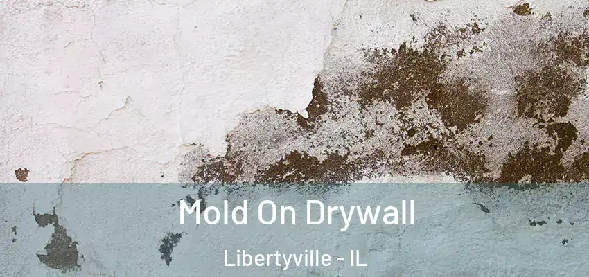 Mold On Drywall Libertyville - IL