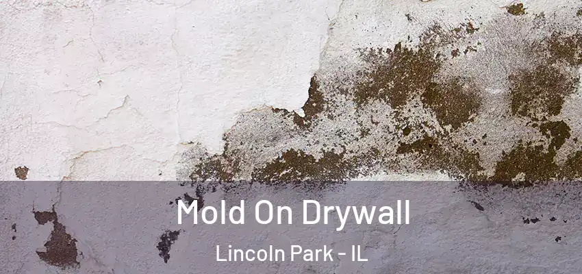 Mold On Drywall Lincoln Park - IL