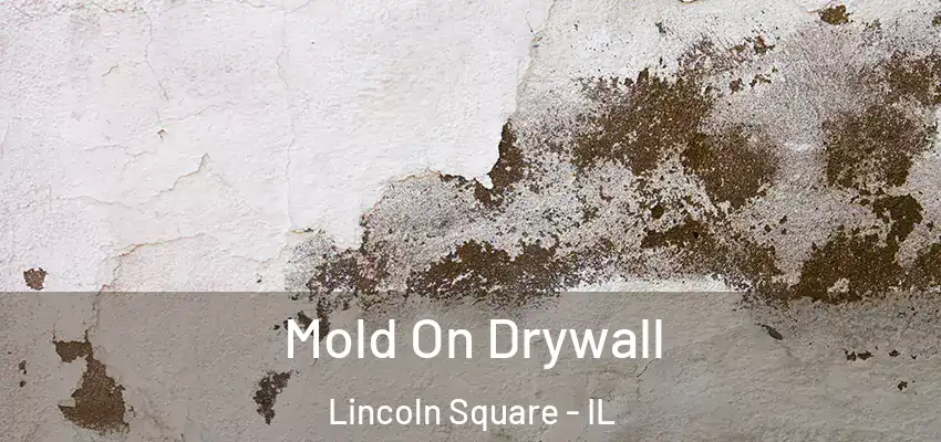 Mold On Drywall Lincoln Square - IL