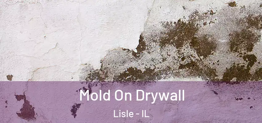  Mold On Drywall Lisle - IL
