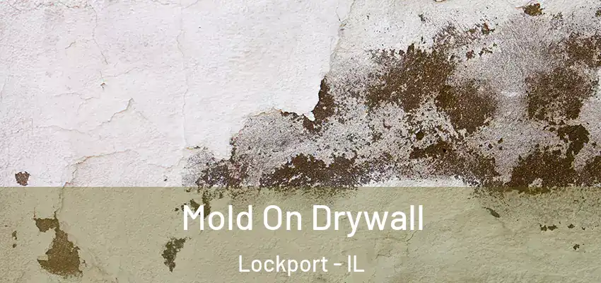  Mold On Drywall Lockport - IL