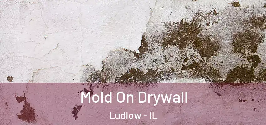 Mold On Drywall Ludlow - IL
