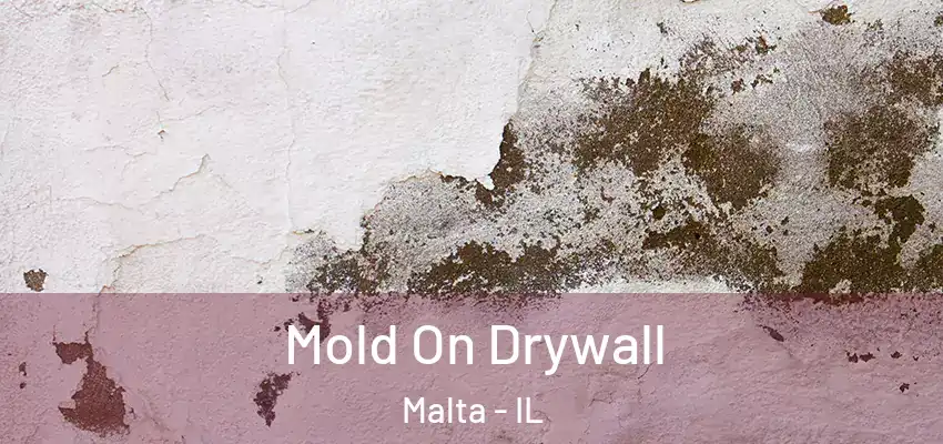  Mold On Drywall Malta - IL
