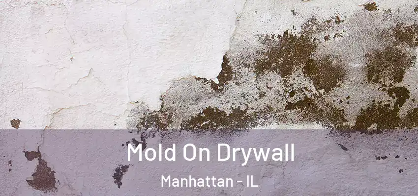Mold On Drywall Manhattan - IL