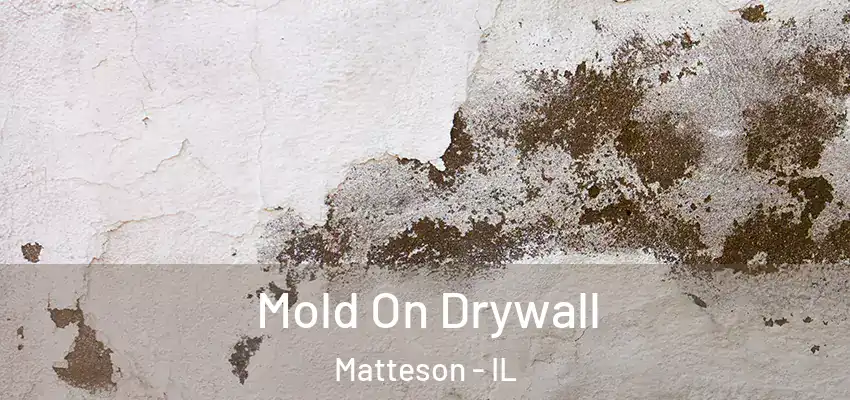  Mold On Drywall Matteson - IL