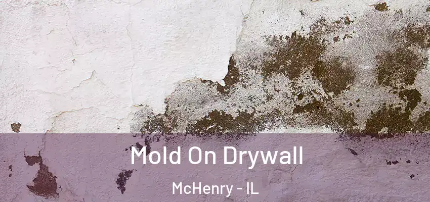 Mold On Drywall McHenry - IL