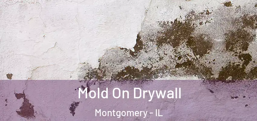 Mold On Drywall Montgomery - IL
