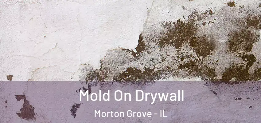 Mold On Drywall Morton Grove - IL