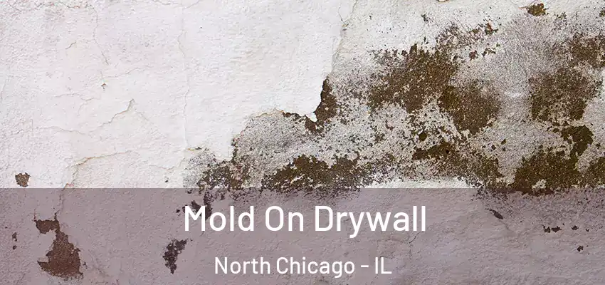 Mold On Drywall North Chicago - IL