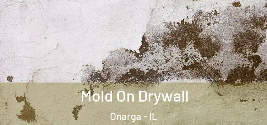  Mold On Drywall Onarga - IL