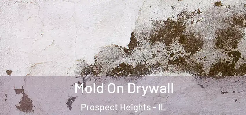 Mold On Drywall Prospect Heights - IL