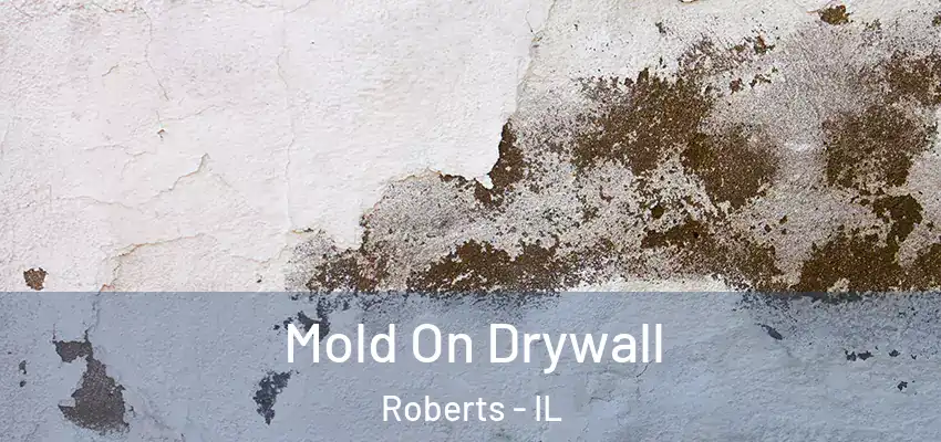 Mold On Drywall Roberts - IL