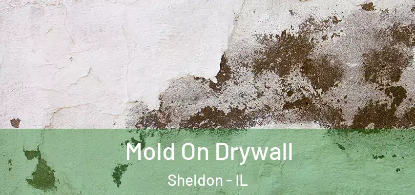  Mold On Drywall Sheldon - IL
