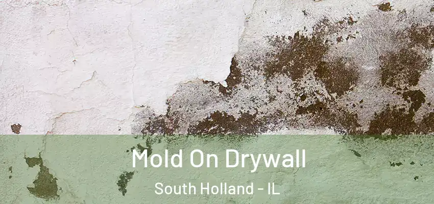 Mold On Drywall South Holland - IL