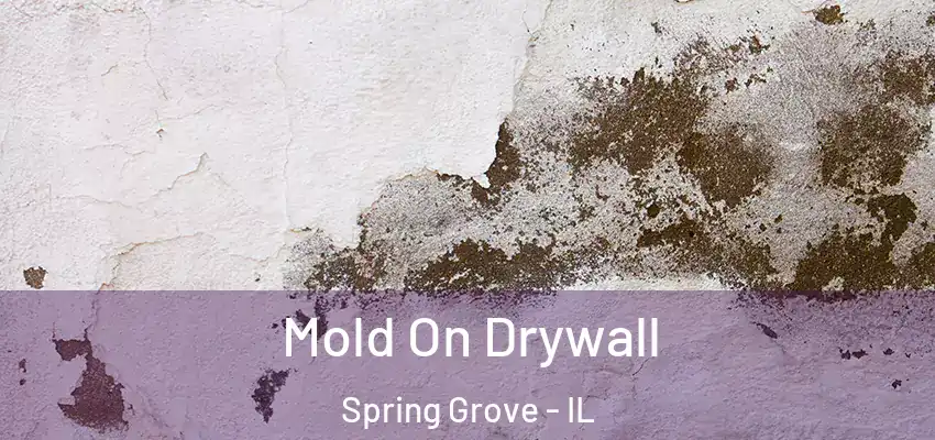  Mold On Drywall Spring Grove - IL