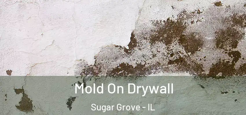  Mold On Drywall Sugar Grove - IL