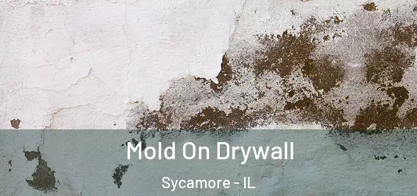  Mold On Drywall Sycamore - IL