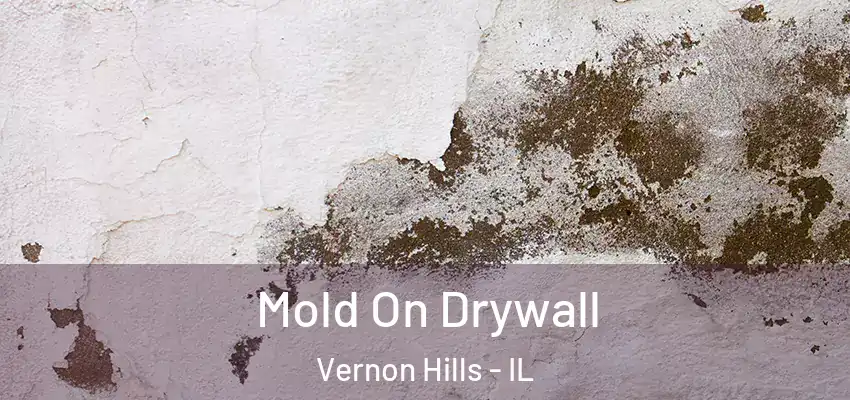 Mold On Drywall Vernon Hills - IL