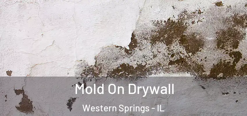 Mold On Drywall Western Springs - IL