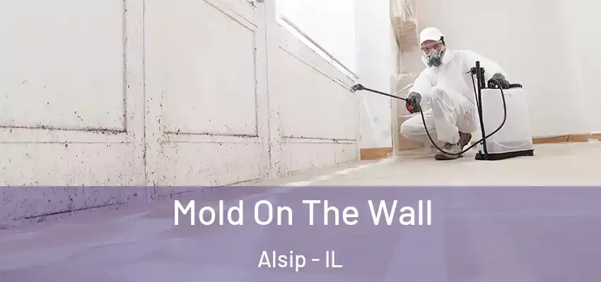  Mold On The Wall Alsip - IL