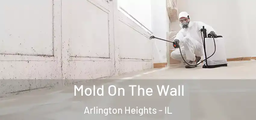 Mold On The Wall Arlington Heights - IL